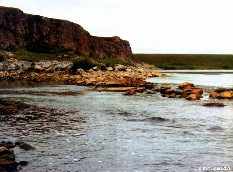 Живописные берега реки Усы являются одним из любимых мест отдыха жителей заполярной Воркуты